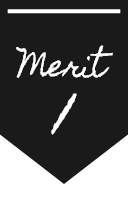 merit1