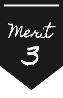 merit3